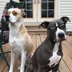 Meet your Posher, Nick